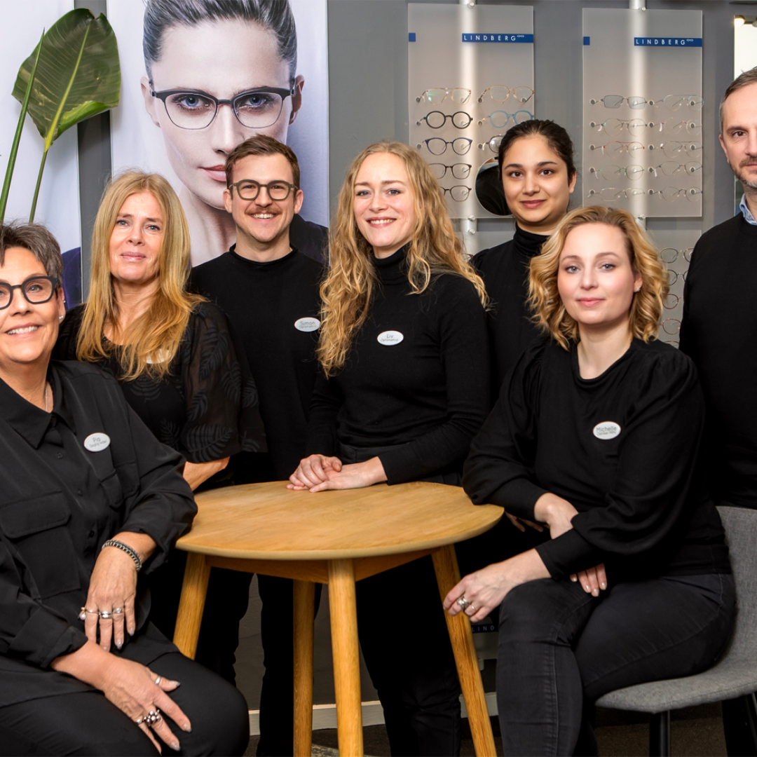 vision-team Vision teamet